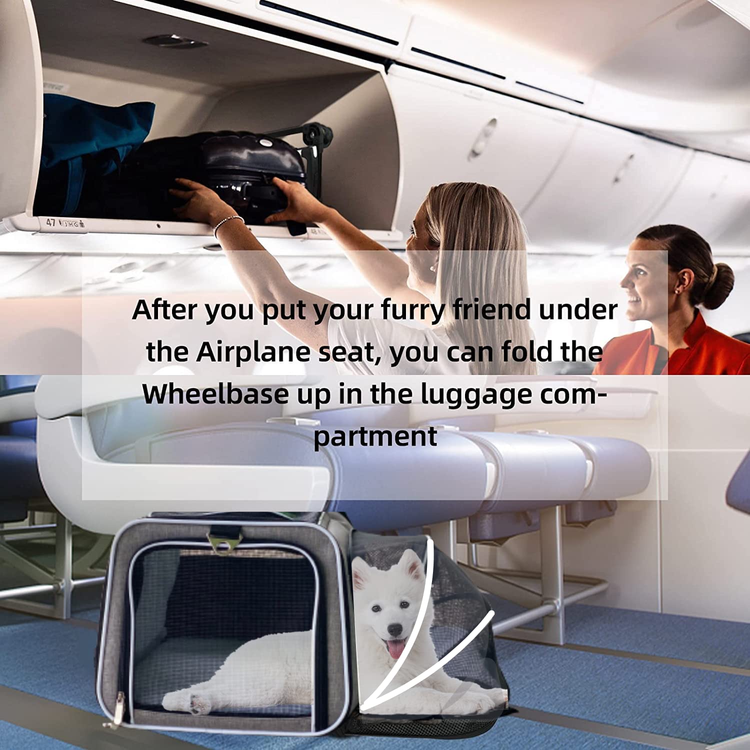 RUFF LIFE 101 fixé sur valise pour voyage mains libres et mobilité aisée