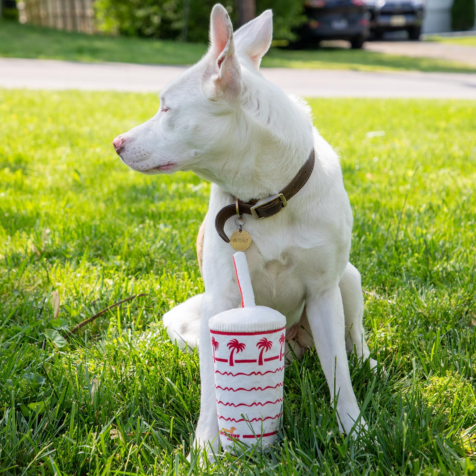 RUFF PUFF ouverture montrant emplacement du couineur pour sécurité
