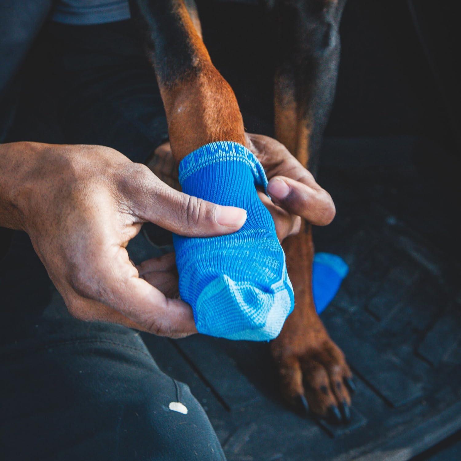 Ruffwear comparaison taille avec règle illustrant ajustement précis