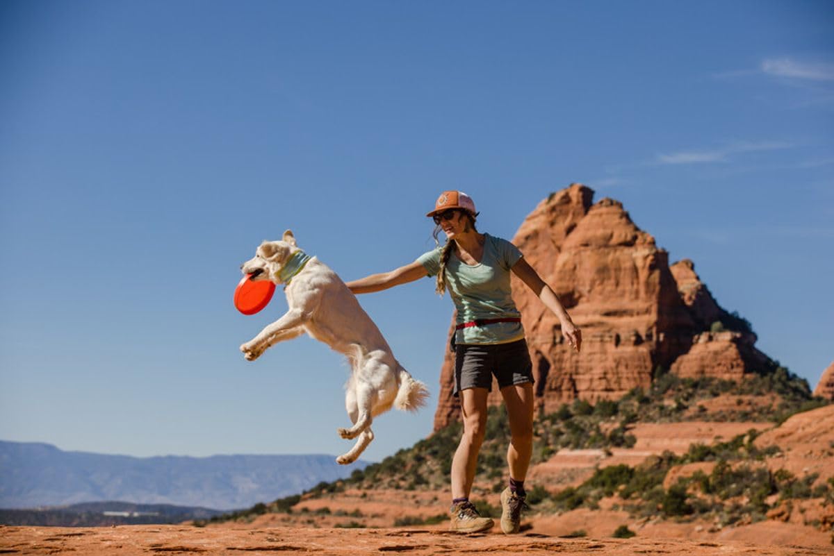 Ruffwear disque utilisé comme bol d'eau pour hydratation en randonnée