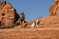 Ruffwear disque en vol attrapé par chien illustrant sécurité des captures