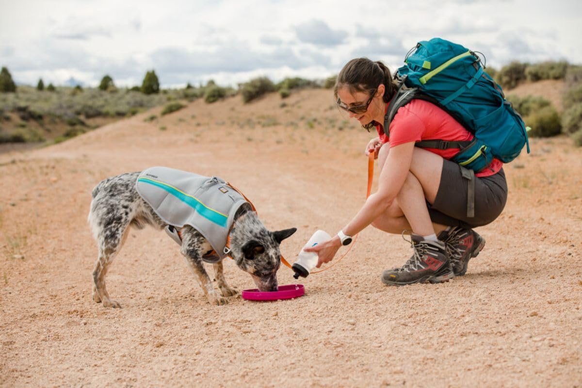 Ruffwear Camp Flyer posé à côté d'une main pour comparaison d'échelle pratique