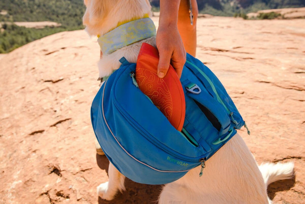 Ruffwear Camp Flyer posé sur un rocher en randonnée évoquant durabilité outdoor