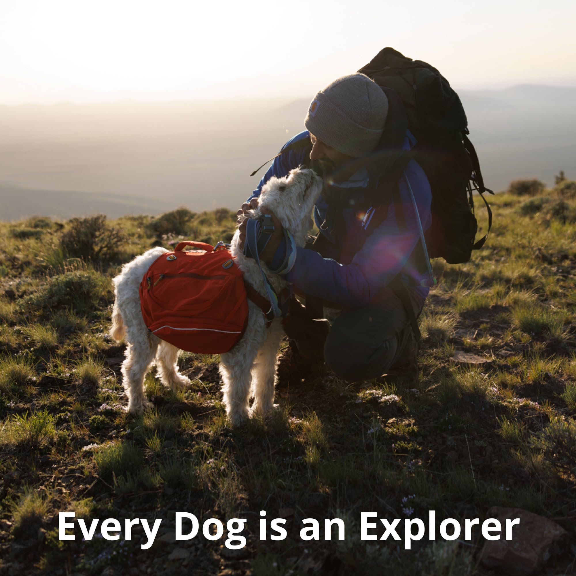 Ruffwear collier Alpine Dusk dans cadre urbain et nature