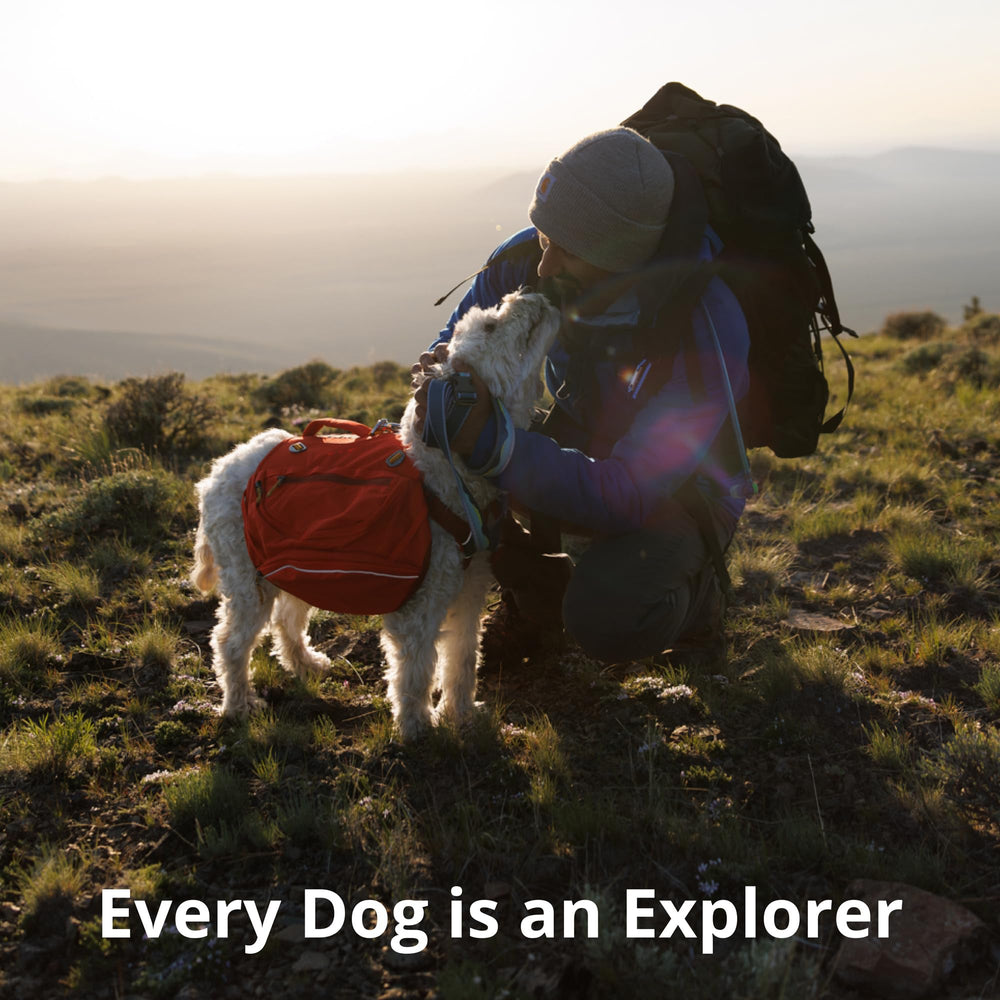 Ruffwear collier Alpine Dusk dans cadre urbain et nature