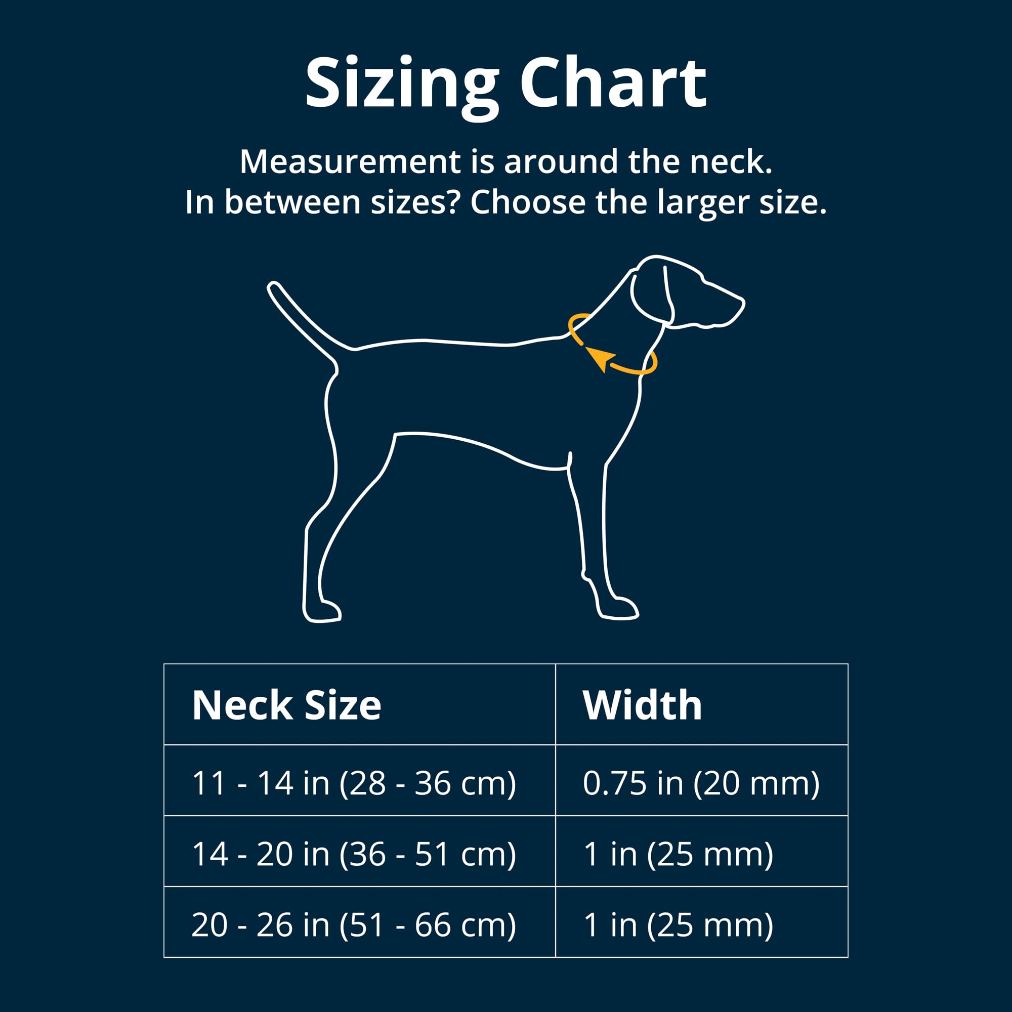 Ruffwear gros plan boucle Airloc assurant fermeture rapide