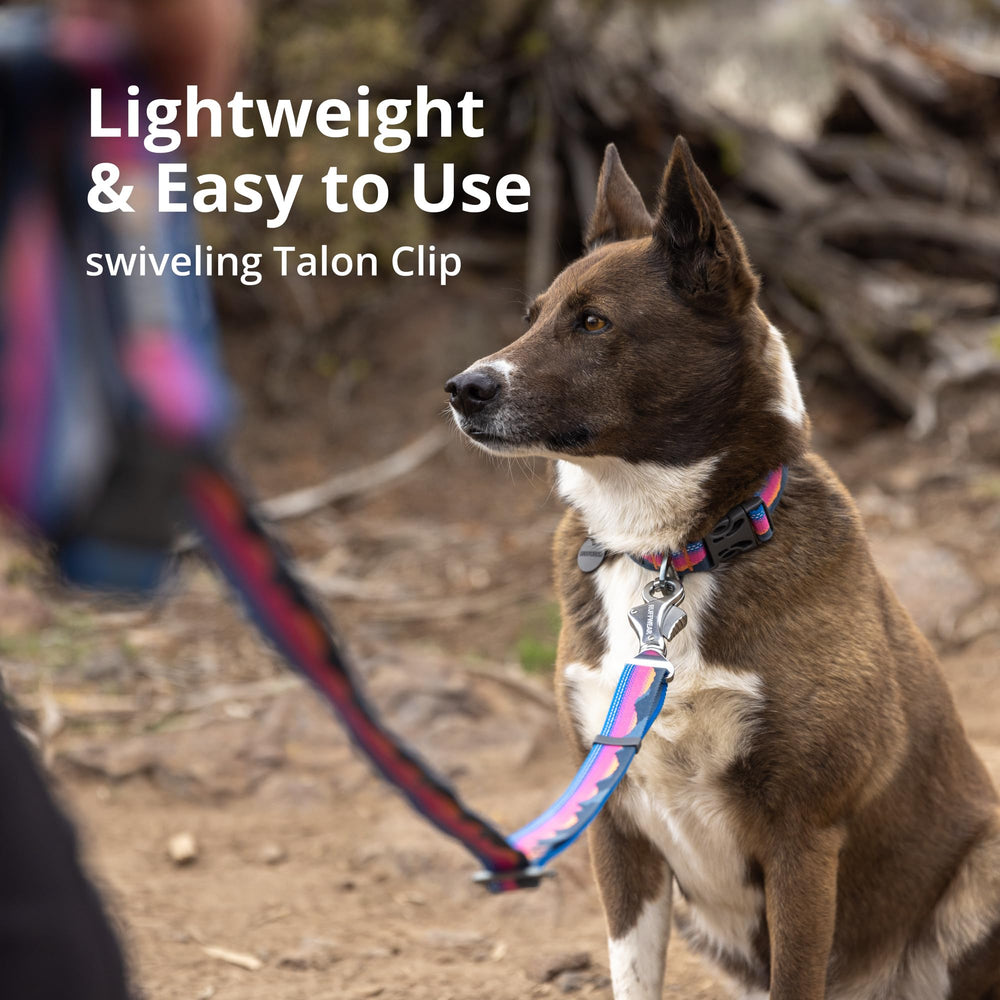 Ruffwear Crag EX sangle tubulaire réfléchissante visible pour sécurité et durabilité
