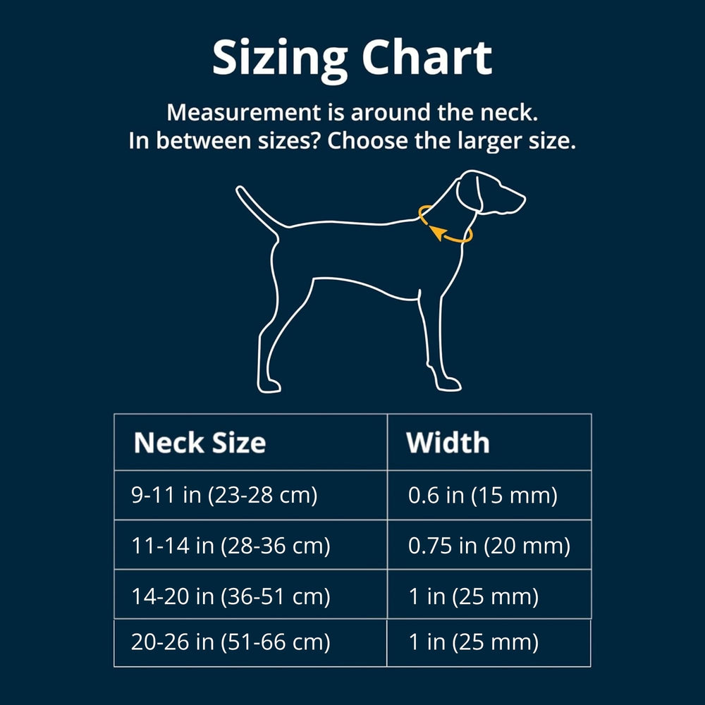 Ruffwear boucle ITW Nexus Mach 1 visible pour ajustement sûr et précis