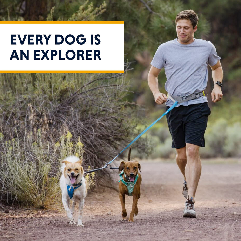 Ruffwear double track coupler emballage et accessoires prêts à être ajoutés à une laisse