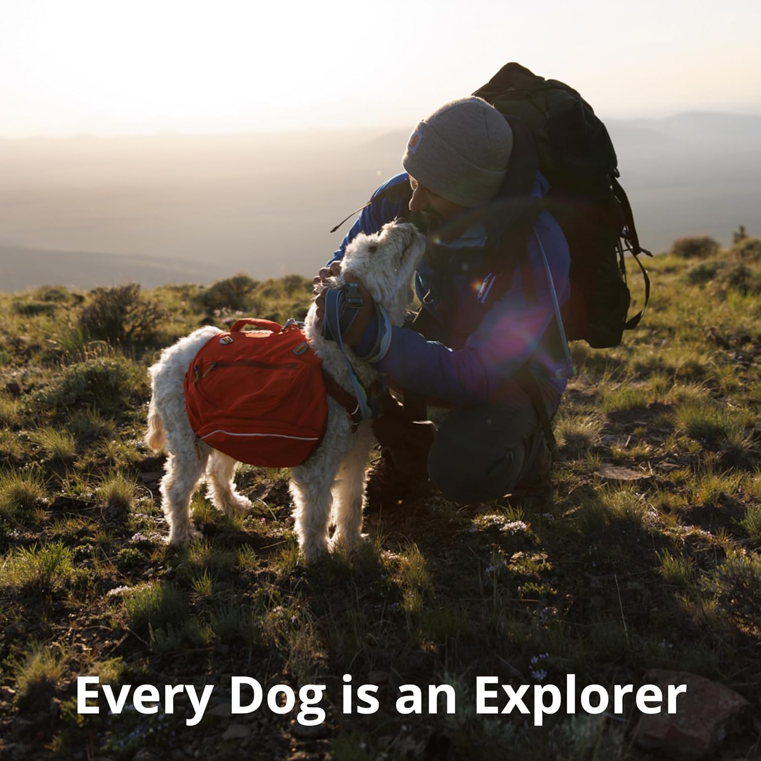 Ruffwear emballage et étiquette produit indiquant matériaux et instructions