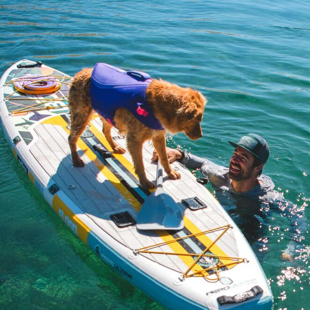 Ruffwear aide pour remonter le chien dans un bateau en toute sécurité