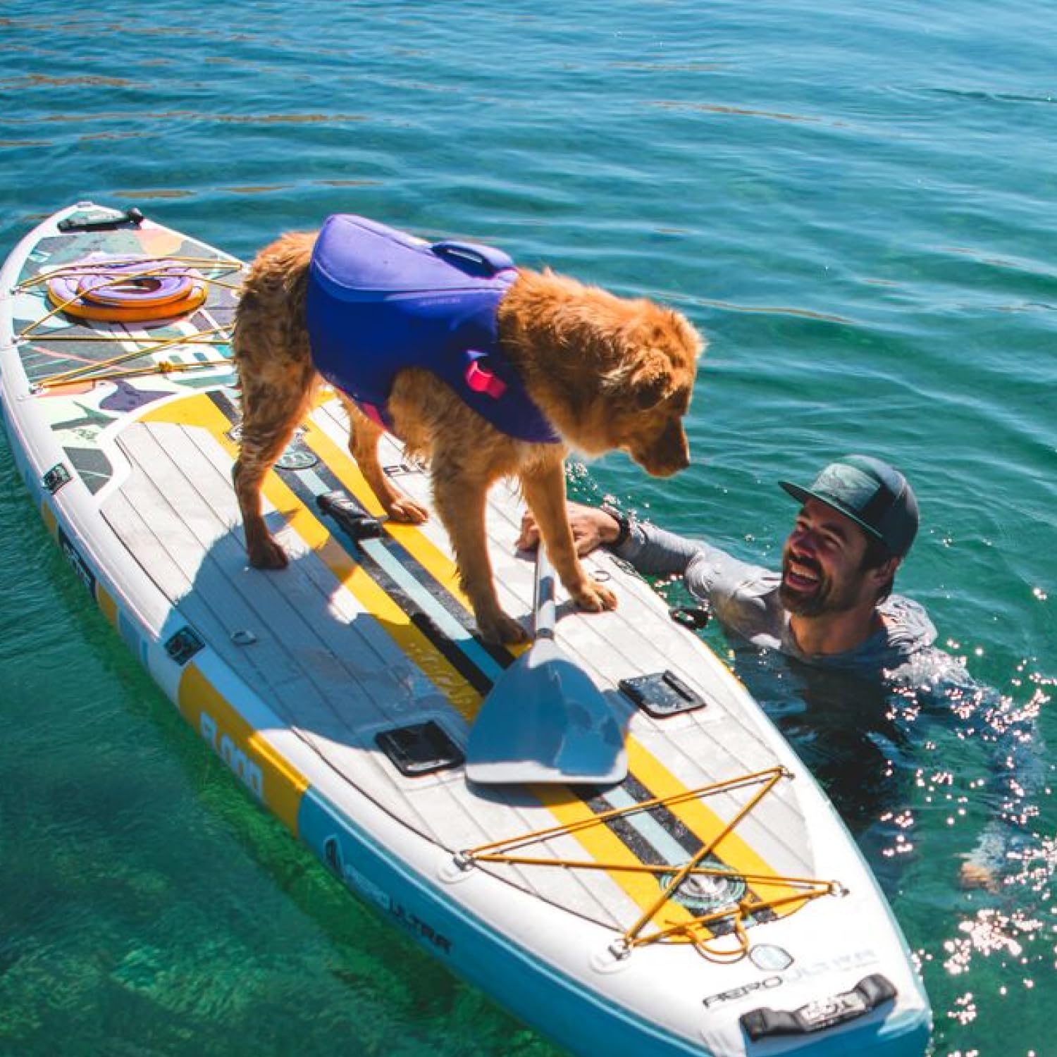 Ruffwear Float Coat utilisée sur bateau pour embarquement facile