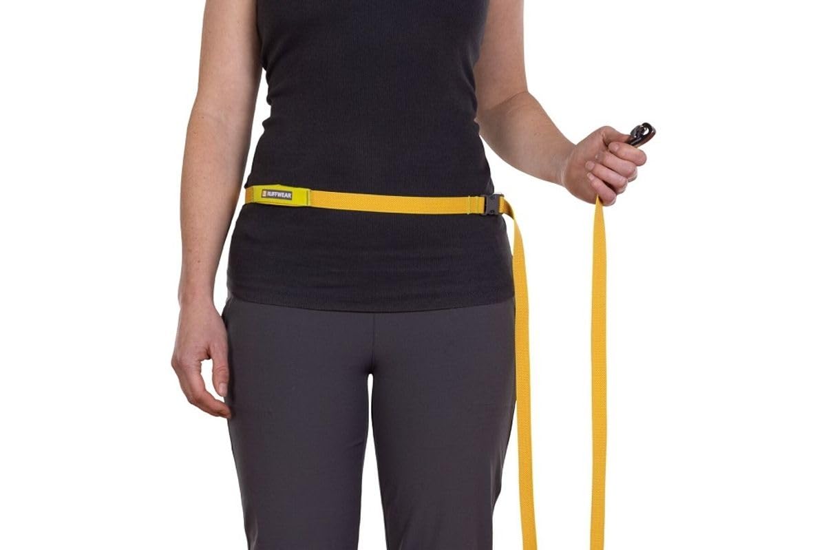 Ruffwear Flagline assortie à un harnais Ruffwear pour coordination des couleurs