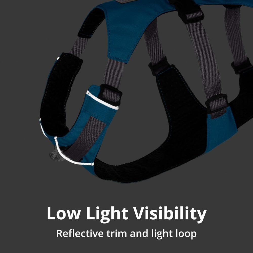 Ruffwear Flagline comparaison taille Medium pour évaluer l’échelle visuelle