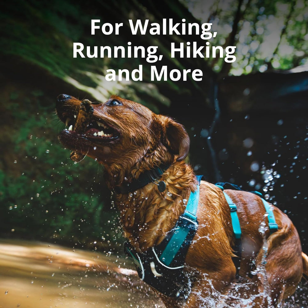 Ruffwear Flagline panneau ventral rembourré pour levage doux et support