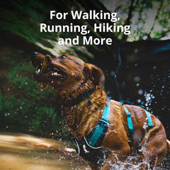 Ruffwear Flagline poignée rembourrée pourlevage facile et sûr
