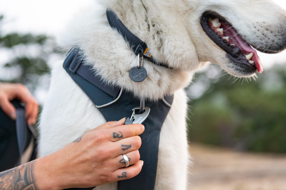 Ruffwear boucle ITW Nexus Mach 1, fermeture sûre et rapide