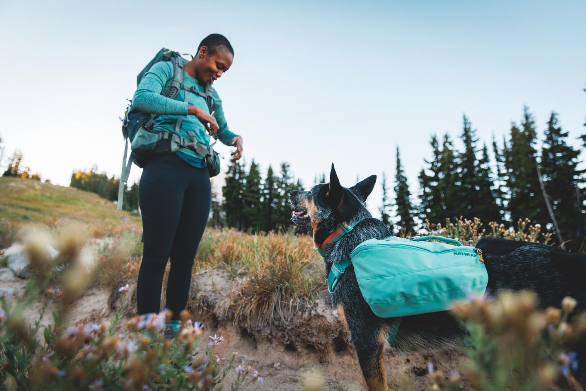 Ruffwear collier porté par chien en promenade, port confortable toute la journée
