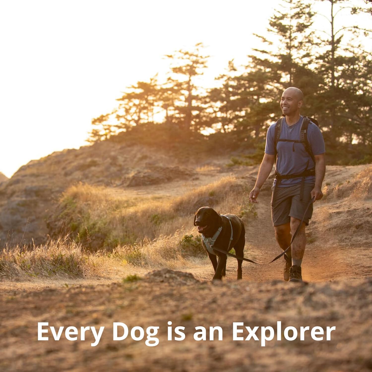 Ruffwear harnais texture du tissu durable et respirant