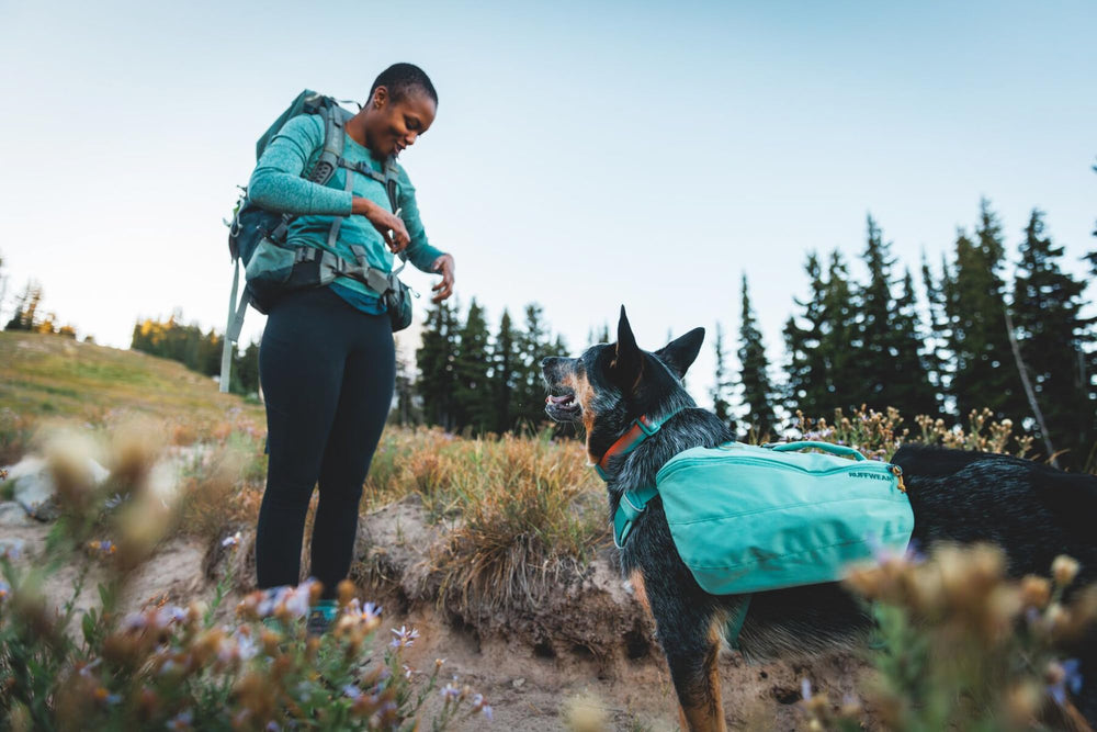Ruffwear collier porté en randonnée, confort et tenue sur sentier
