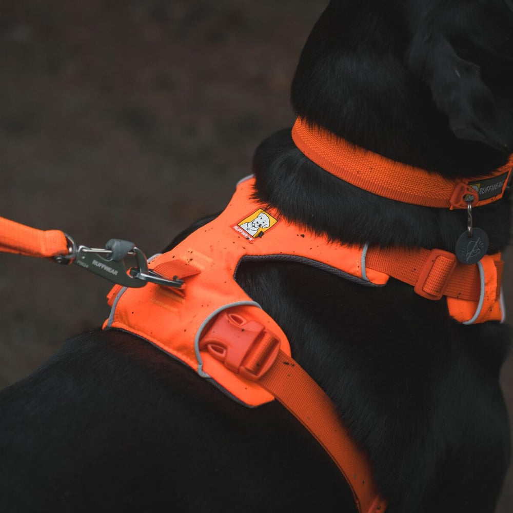 ruffwear attache poitrine renforcée pour meilleur contrôle des tirages