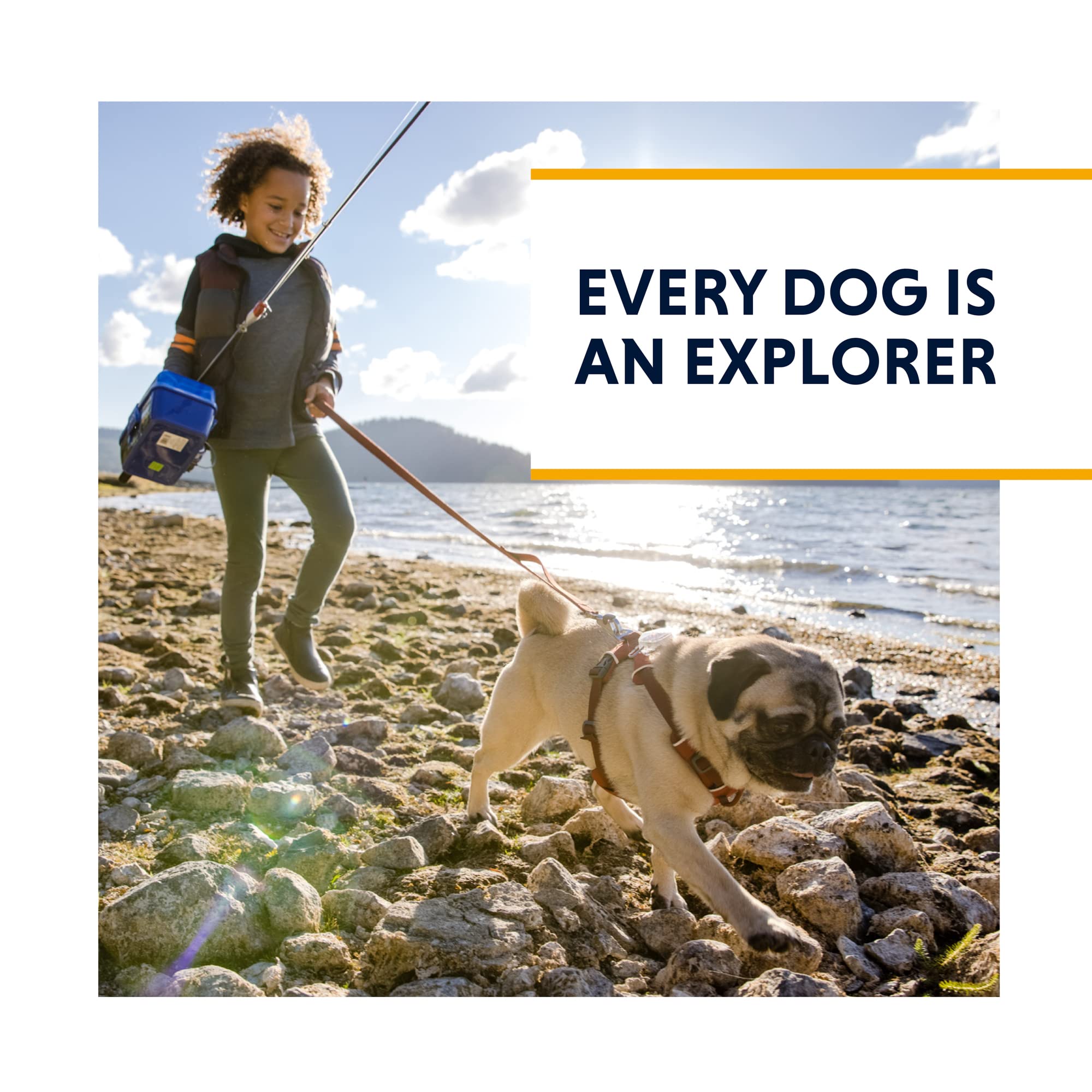 Ruffwear étiquette de pointure facilitant le choix de taille