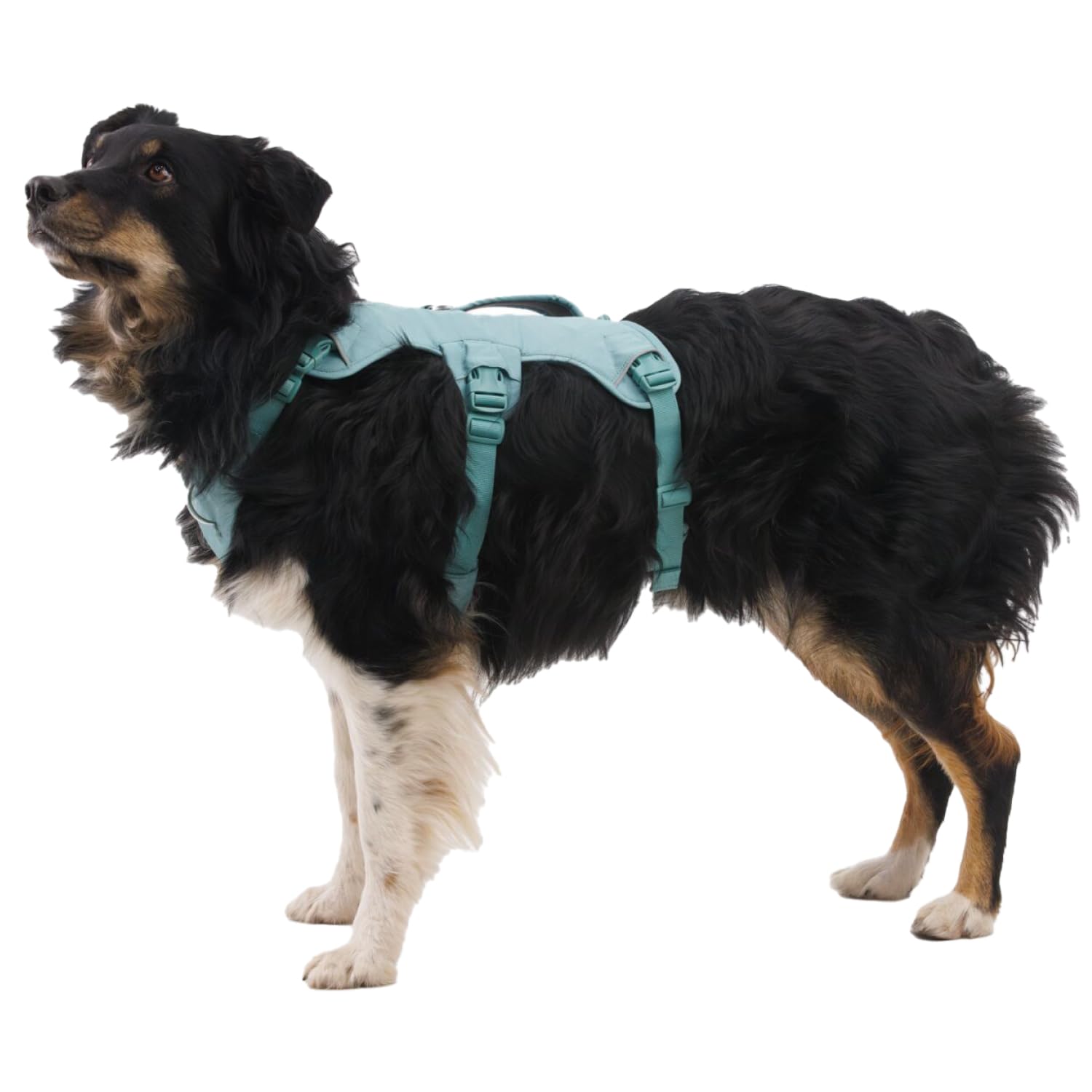 Ruffwear quatre points d'ajustement assurant un maintien anti-évasion