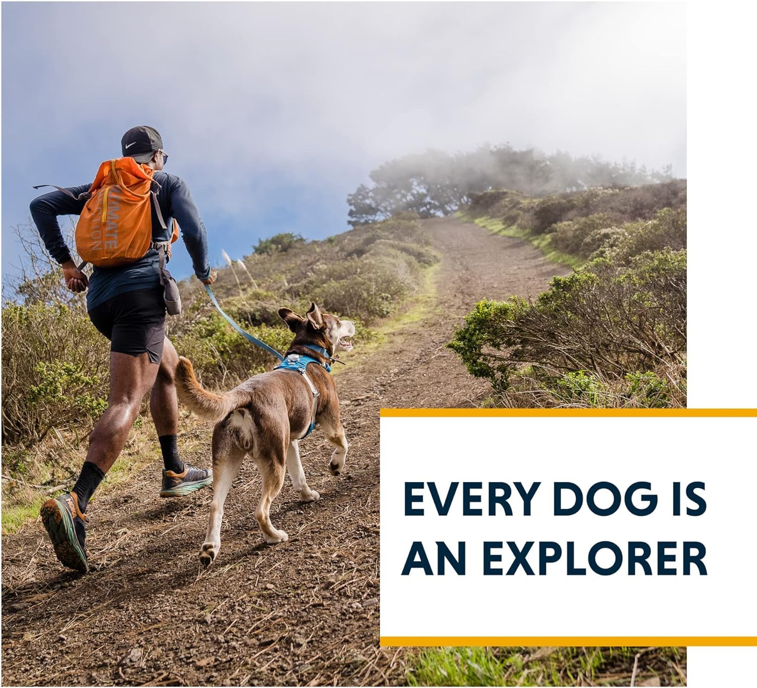 Ruffwear harnais packaging et étiquette montrant informations produit claires