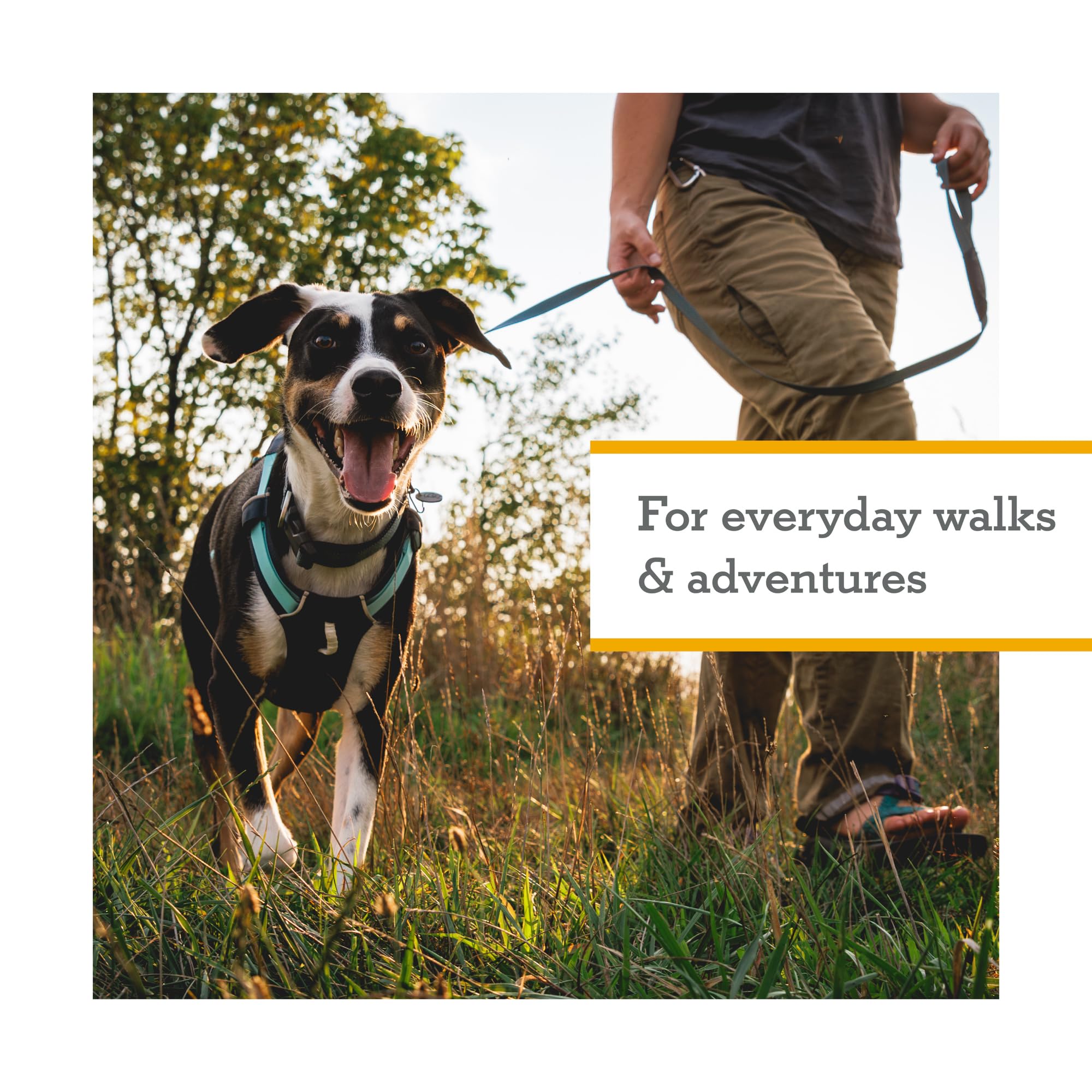 Ruffwear zoom texture tissu respirant pour confort prolongé