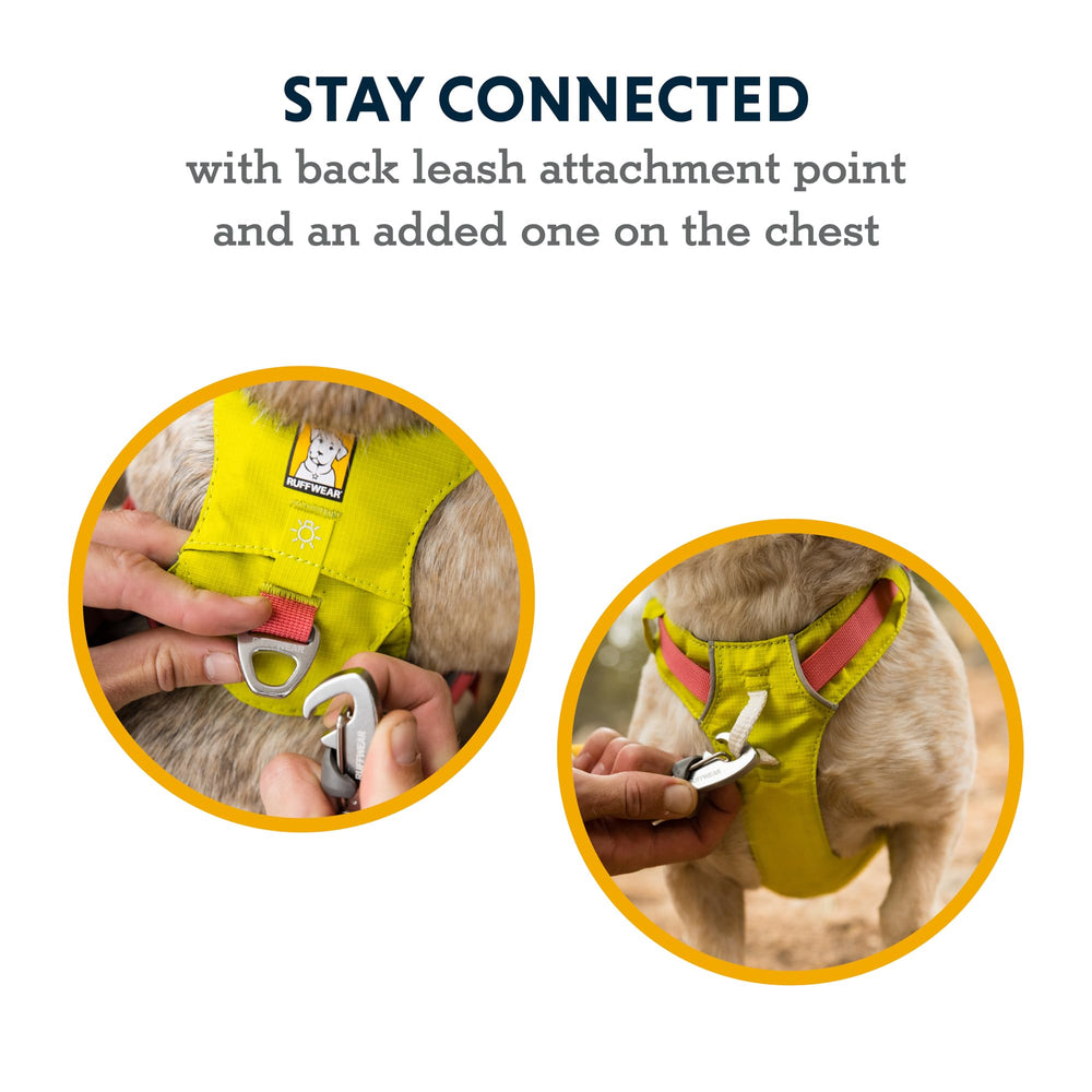 Ruffwear quatre points de réglage garantissant ajustement précis