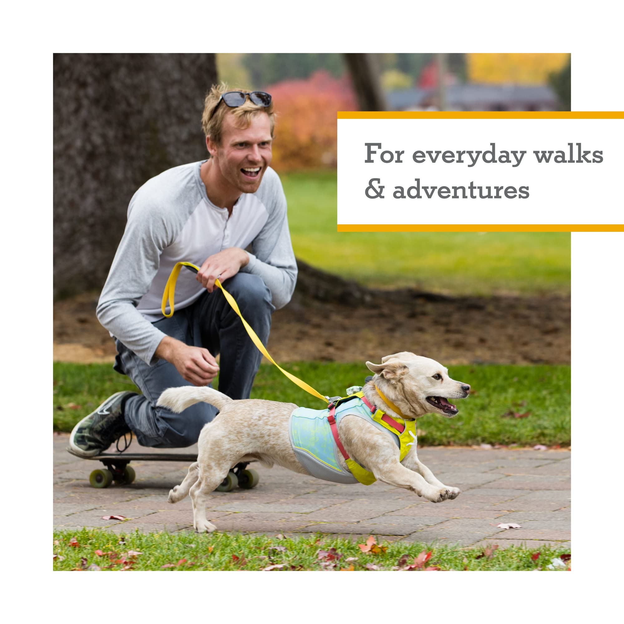 Ruffwear clip avant renforcé en détail pour contrôle et éducation