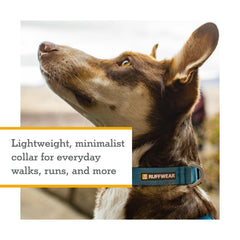 Ruffwear collier détail de la boucle ITW Nexus Mach 1 offrant sécurité