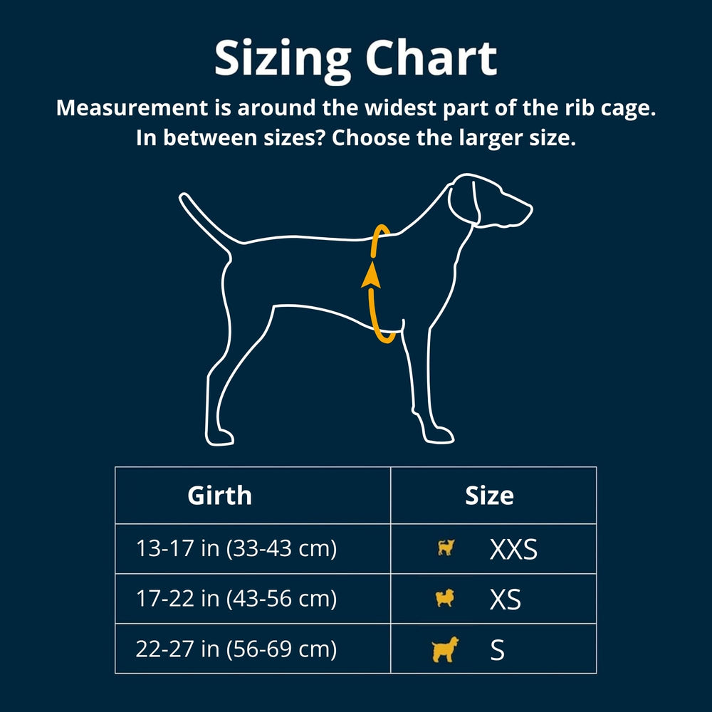 Ruffwear sac ouvert avec chien à l'intérieur, illustration de chargement facile et sûr