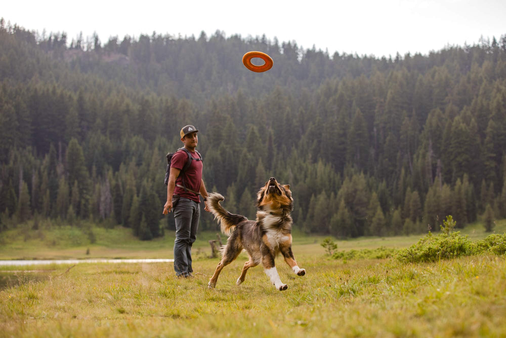 Ruffwear disque à côté d'une main pour comparaison de taille et maniabilité