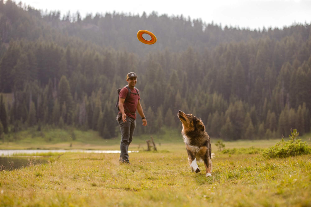 Ruffwear Hydro Plane comparaison taille pour choix adapté