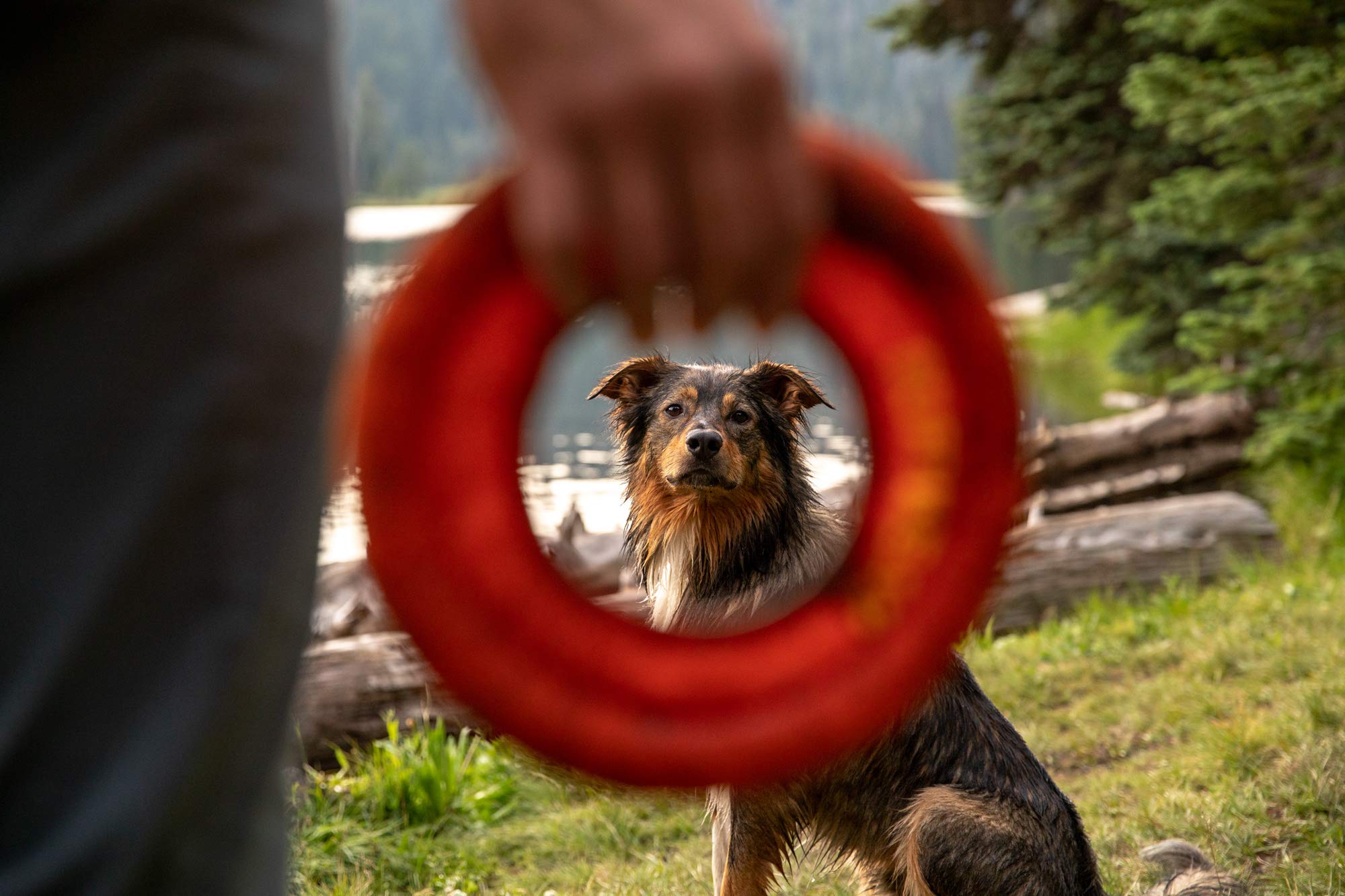 Ruffwear Hydro Plane scène extérieure pour jeux multi-saison