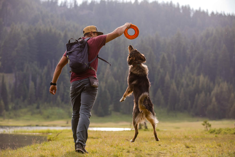 Ruffwear Hydro Plane séchage rapide après jeu aquatique
