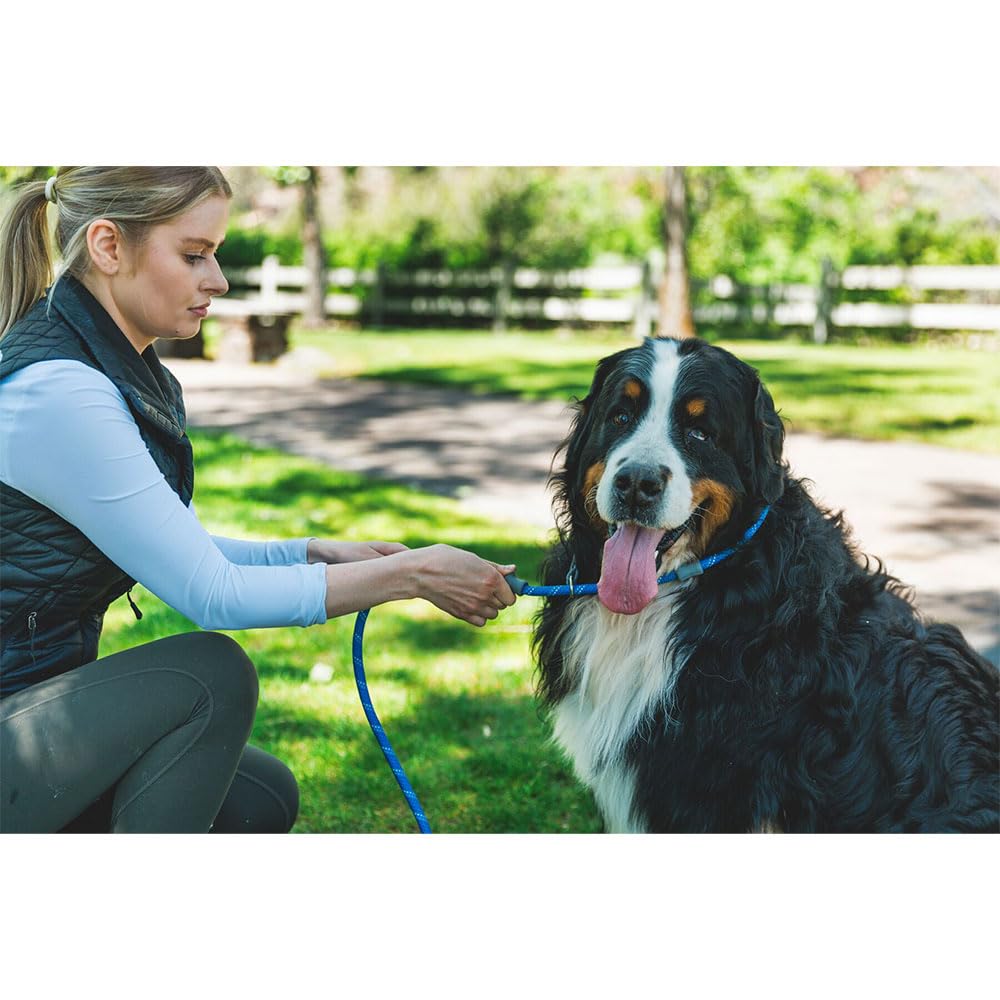Ruffwear étiquette produit lisible avec instructions et marque discernable
