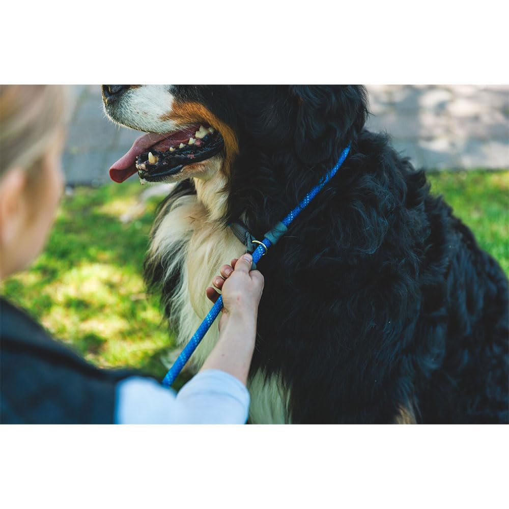 Ruffwear mise en situation en randonnée démontrant résistance aux éléments