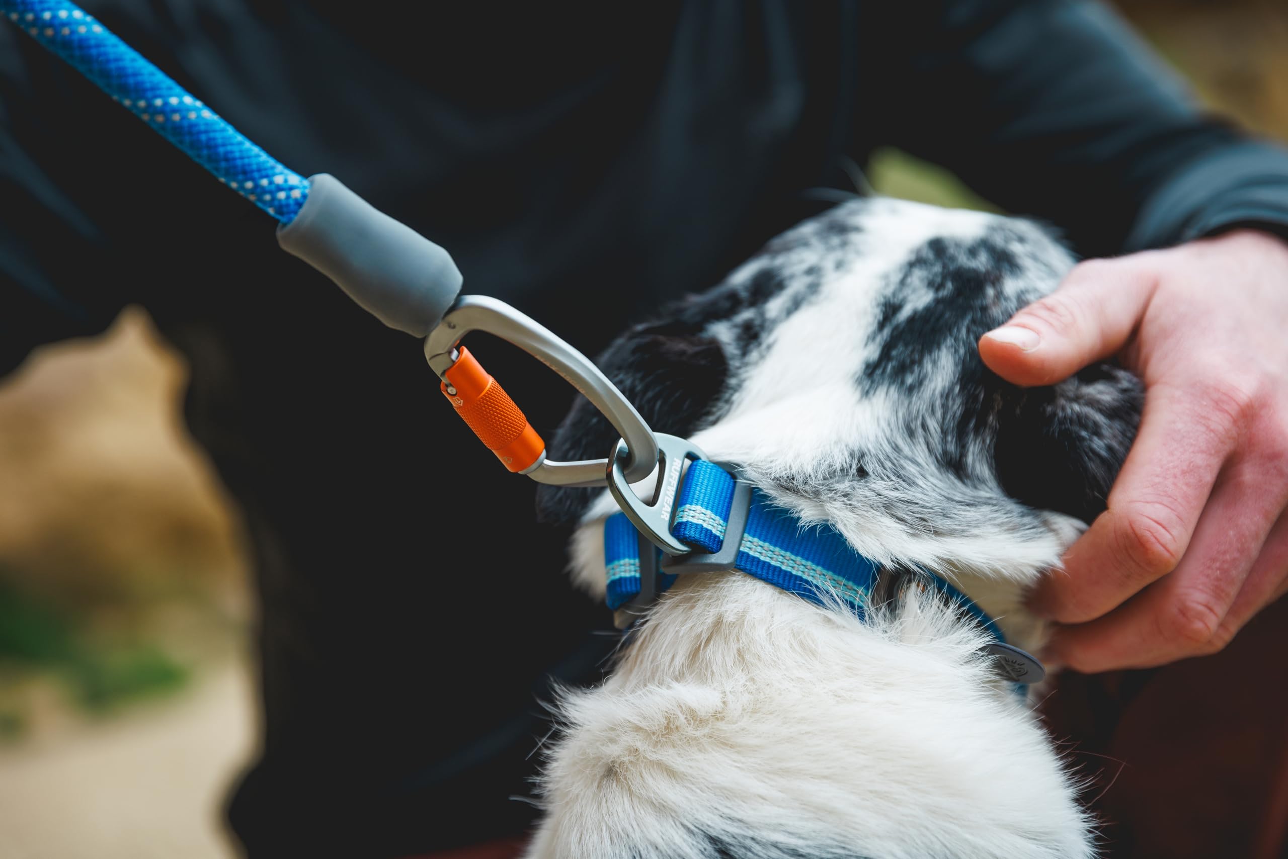Ruffwear renforts et coutures solides assurant longue durée de vie