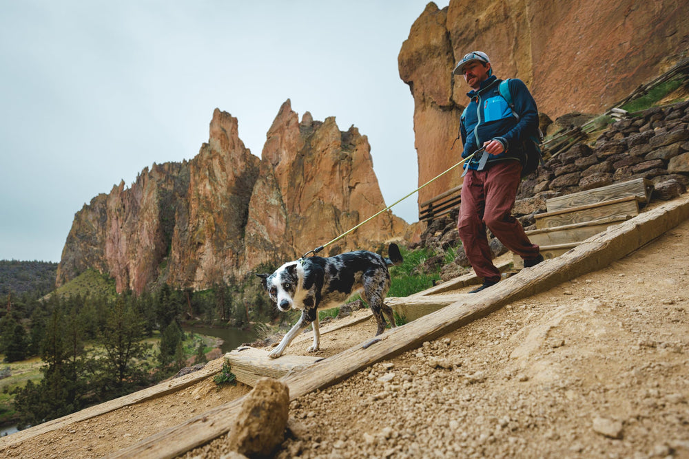 Ruffwear laisse performante sous pluie sans altération fonctionnalité