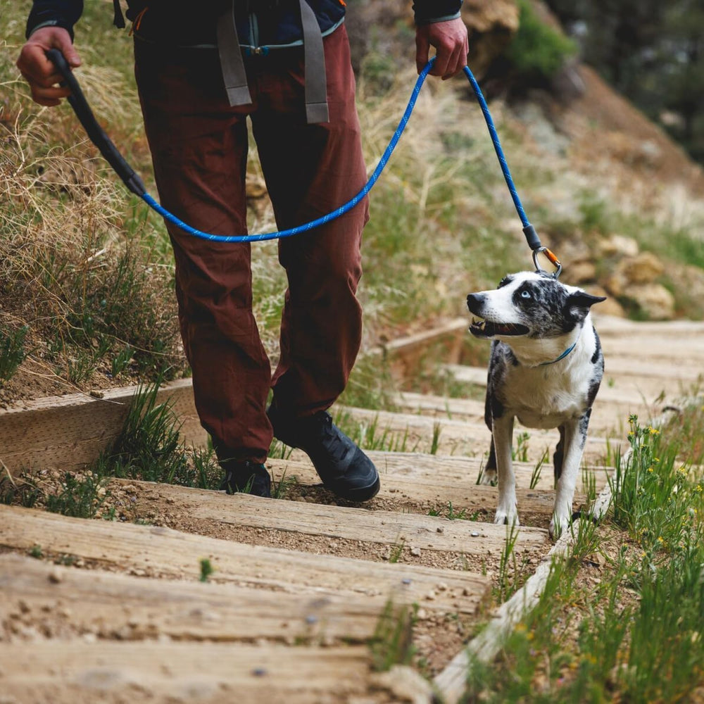 Ruffwear sur sentier de randonnée pour activité extérieure sécurisée
