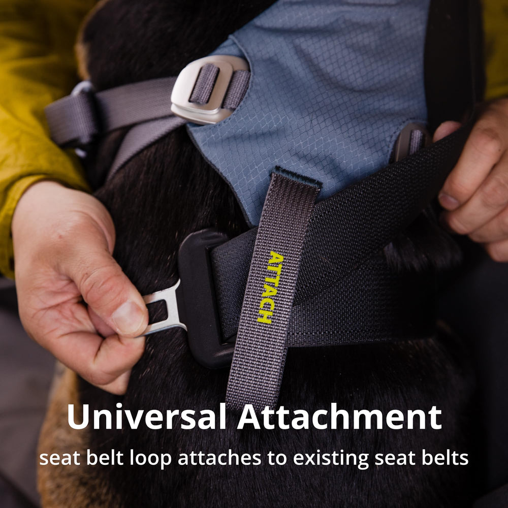 Ruffwear Load Up comparaison taille pour choisir ajustement correct
