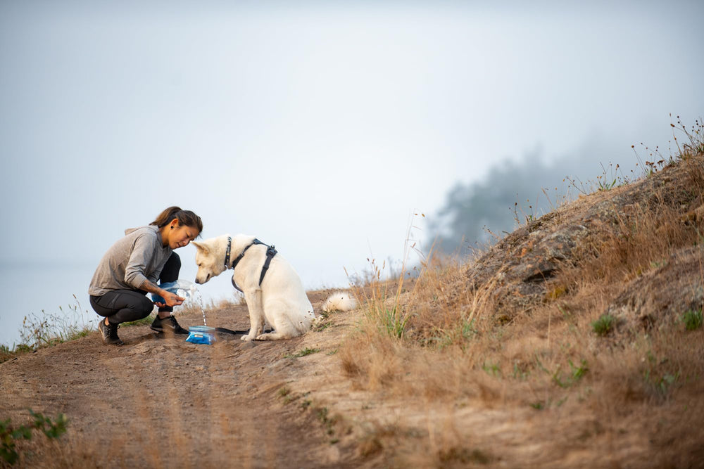 Ruffwear Quencher medium à l’échelle d’une main pour référence