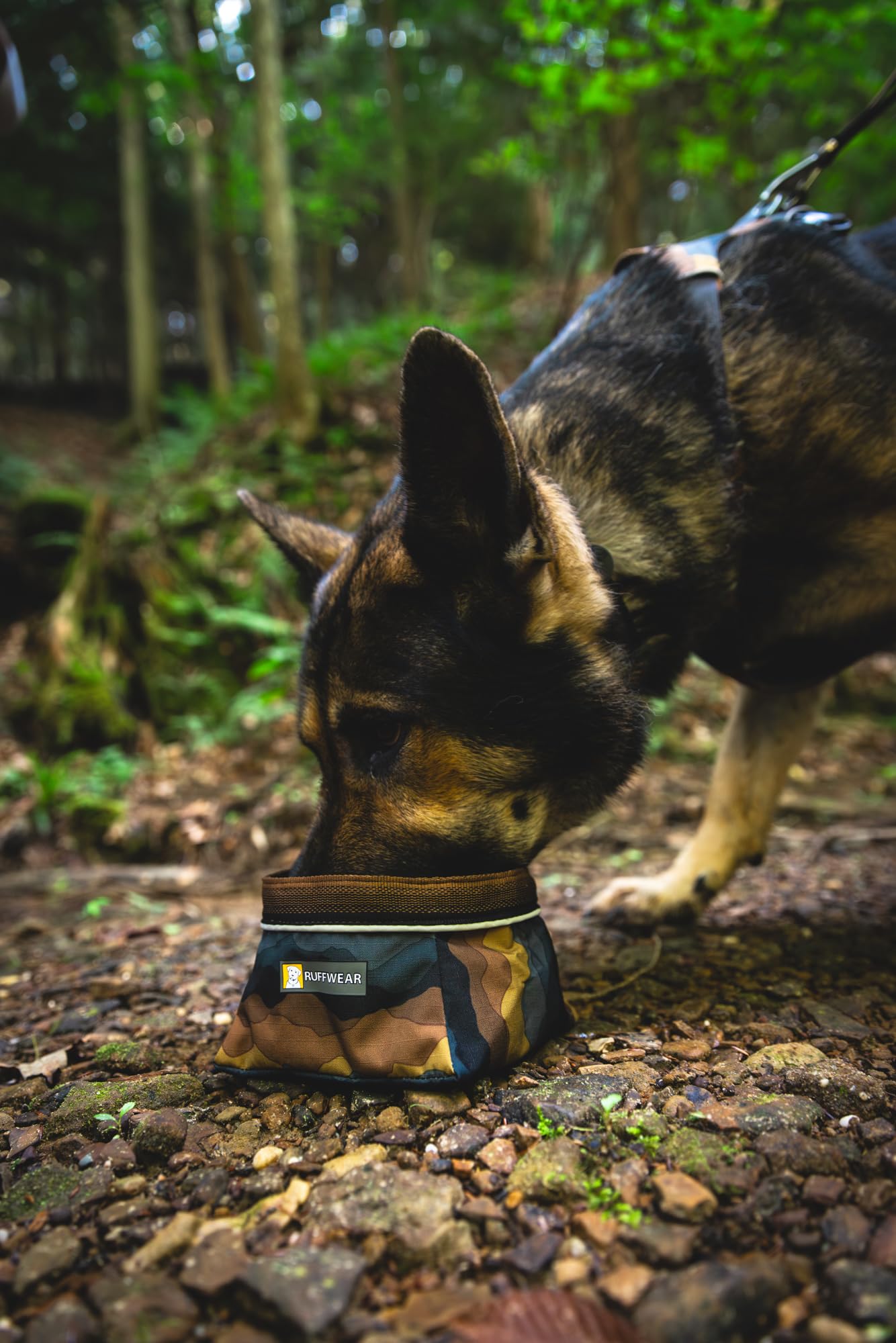 Ruffwear doublure imperméable du Quencher protégeant votre sac