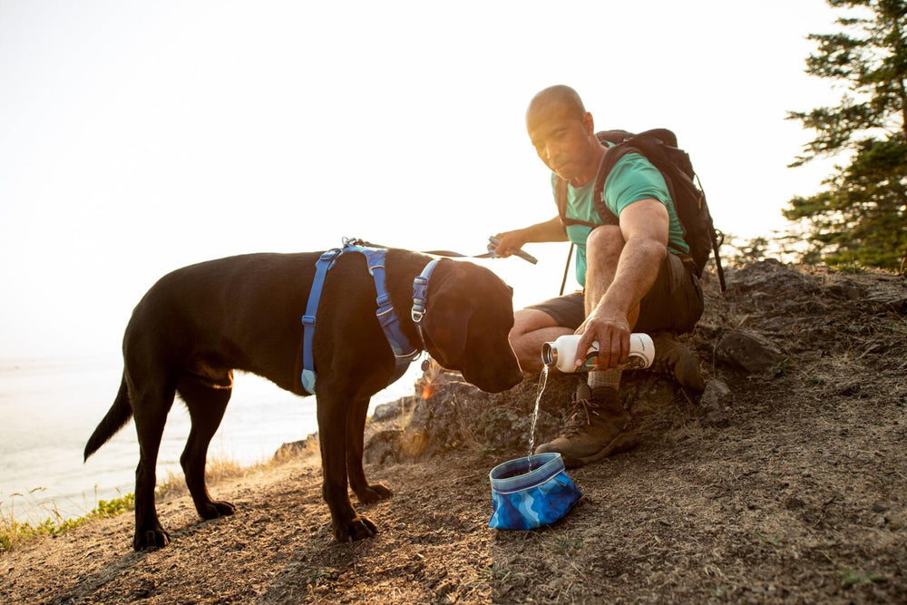 Ruffwear Quencher rangé dans un sac à dos prêt pour l’aventure