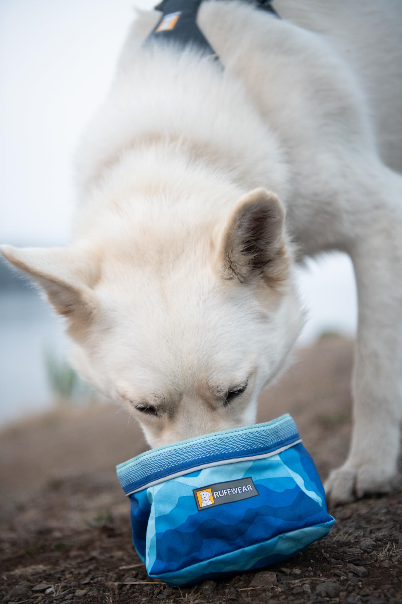 Ruffwear Quencher utilisé en randonnée pour hydratation rapide