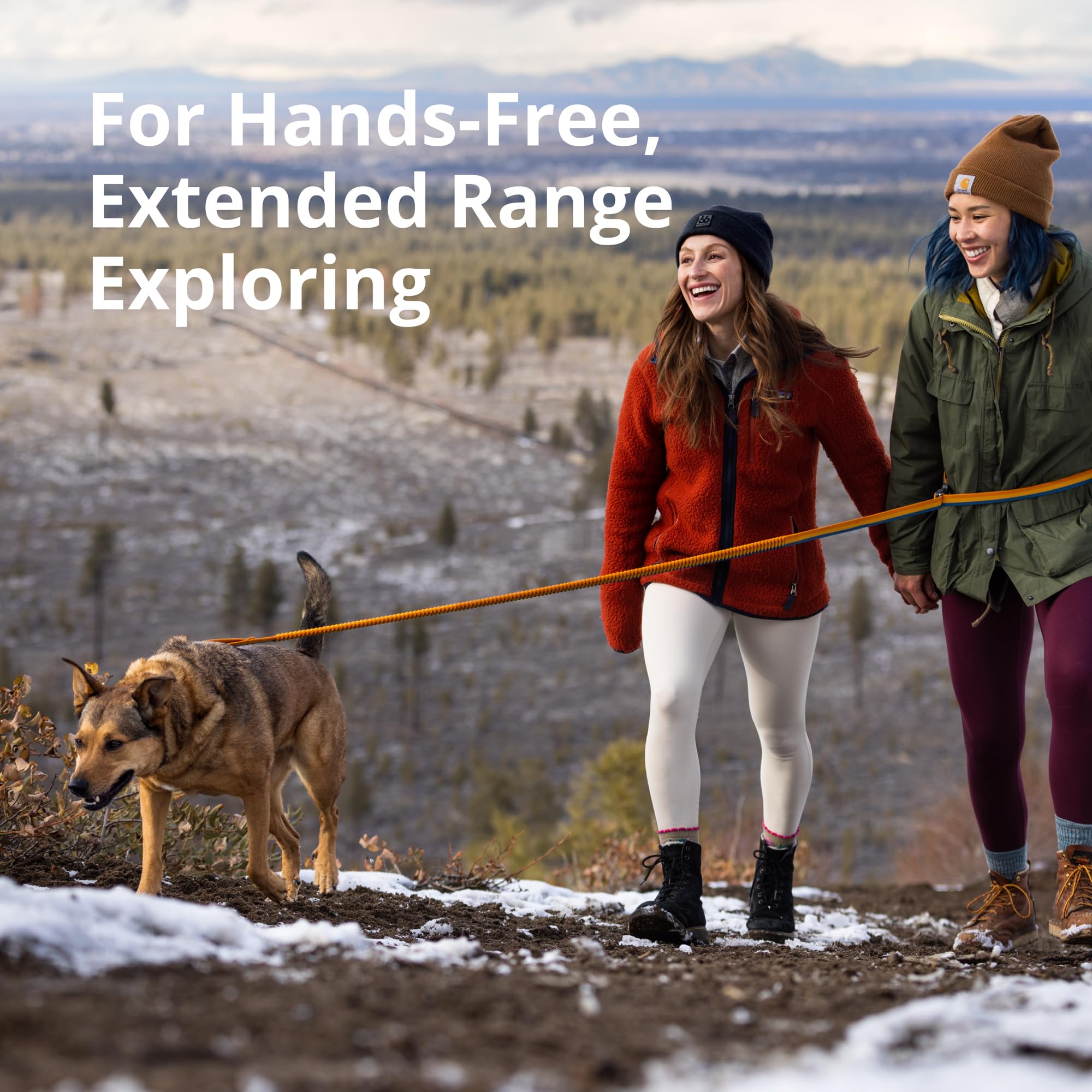 Ruffwear Roamer Bungee gros plan sur la sangle Wavelength avec absorption des chocs