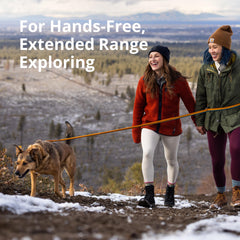 Ruffwear Roamer Bungee gros plan sur la sangle Wavelength avec absorption des chocs