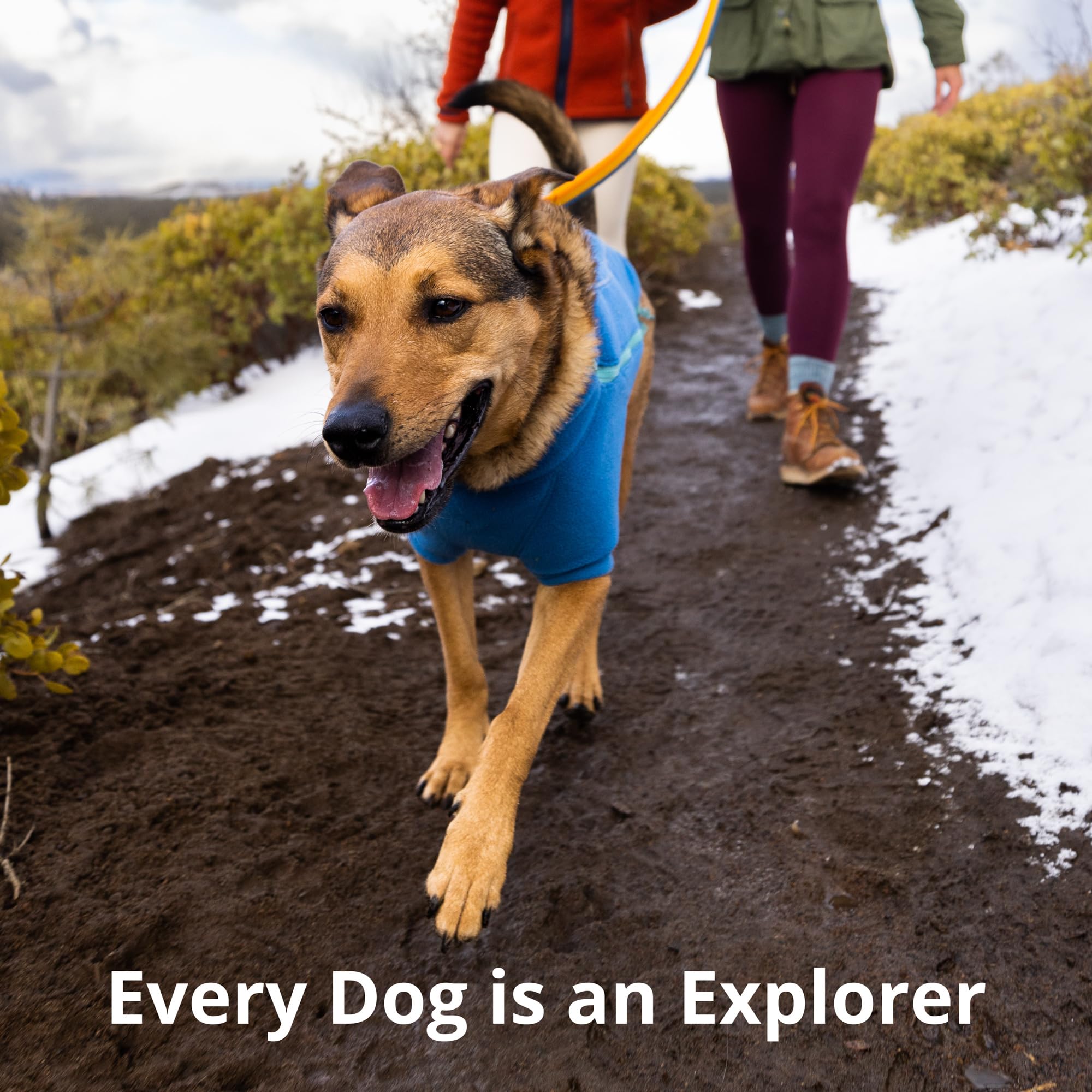Ruffwear Roamer Bungee texture du tissu technique assurant durabilité et performance